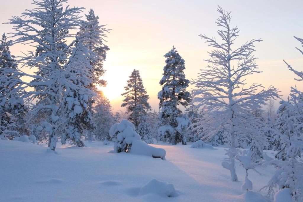 Kielo In Center Near All The Main Spots Rovaniemi Exterior foto