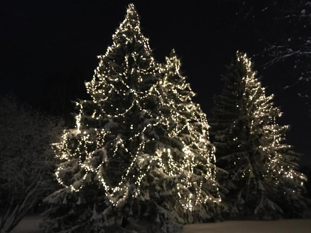 Kielo In Center Near All The Main Spots Rovaniemi Exterior foto